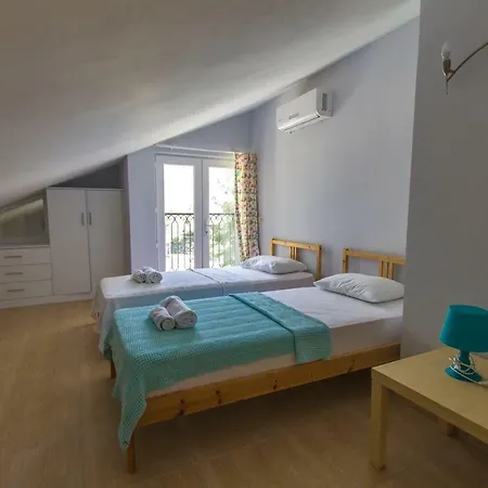 Tatil Premium Findik
