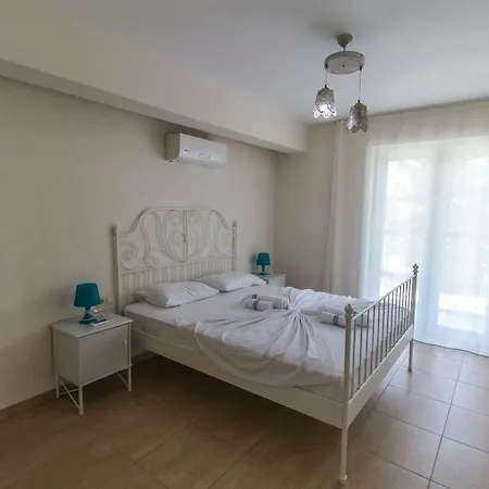 Tatil Premium Findik